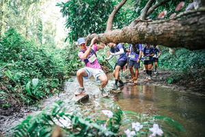 BIB: 
                            <button type="button" onclick="openModal(25517234)" class="btn btn-primary btn-sm float-right btn-popup" data-toggle="modal" data-target=".modal-high-quality">
                        <i class="fas fa-shopping-cart"></i> Add to Cart
                    </button>
                                            <button type="button" onclick="isThisMe(25517234, true)" class="btn btn-success btn-sm float-right btn-popup btn-isme hidden" data-toggle="tooltip" data-placement="bottom" title="นี่คือรูปของคุณใช่ไหม คลิกที่นี่เพื่อเอาเข้าอัลบั้ม">
                        <i class="fas fa-plus"></i> Add to album
                    </button>
                    <button type="button" onclick="isThisMe(25517234, false)" class="btn btn-warning btn-sm float-right btn-popup btn-isnotme hidden">
                        <i class="fas fa-ban"></i> Remove from album
                    </button>